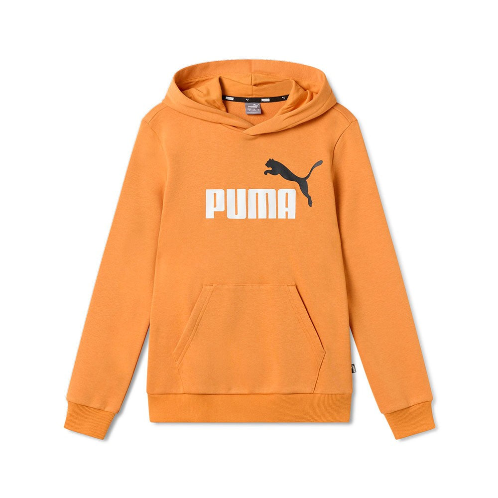 Puma ESS 2 COL BIG LOGO